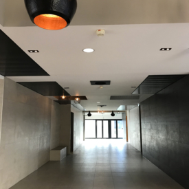 Touraine Plaquiste, Plafond décoratif